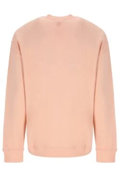 FILA Trev Unisex Sweatshirt With Seam Details -Cheap US Modern Apparel Store TREV S23UC004 880 02